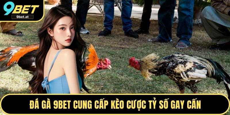 Đá gà 9BET cung cấp kèo cược tỷ số gay cấn